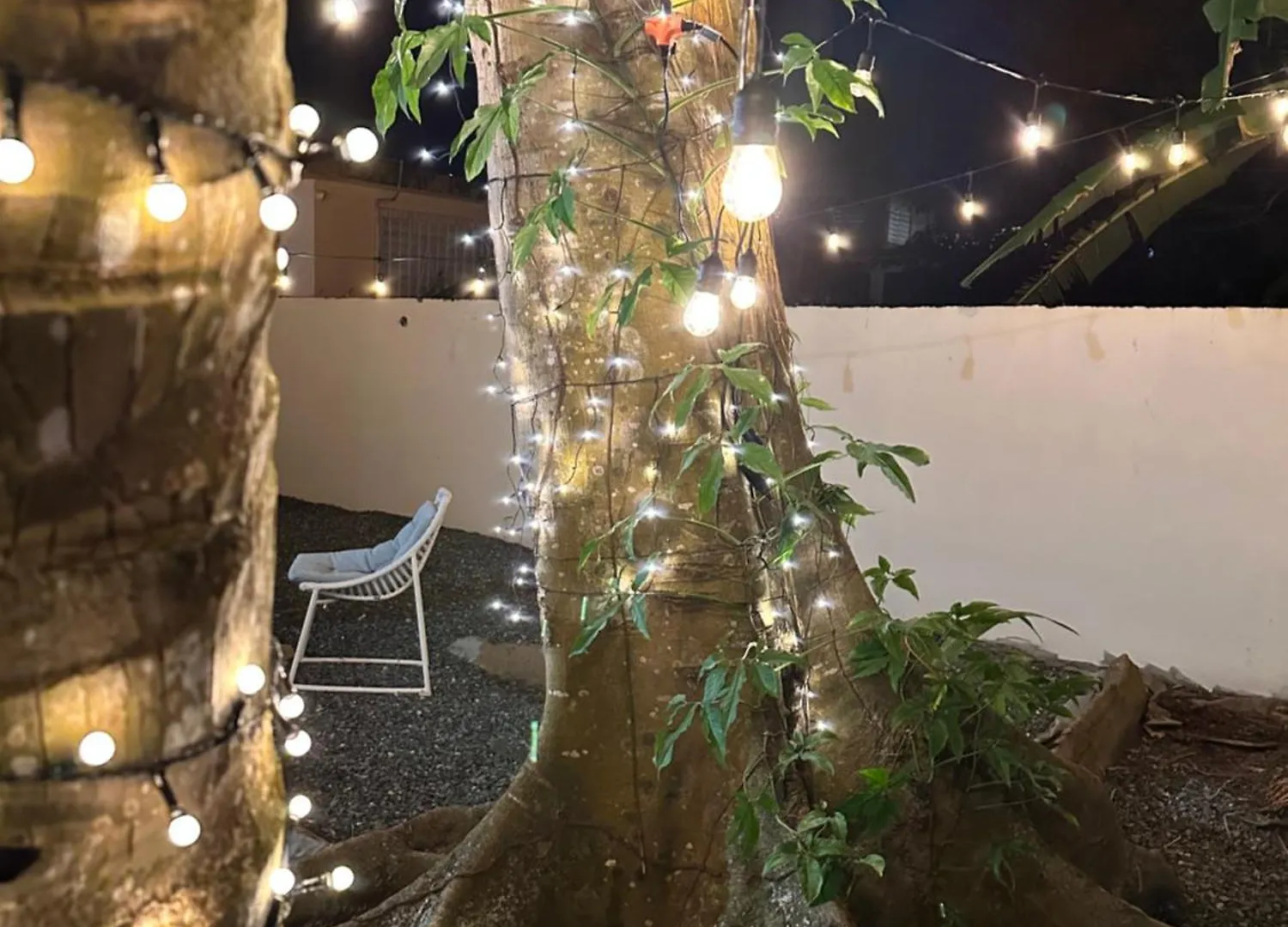 Villa Bamboo San Juan Porto Rico